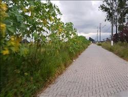 Terreno à Venda - Resende - RJ