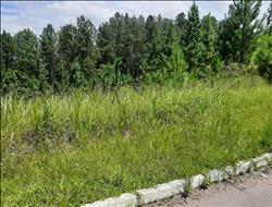 Terreno à Venda - Resende - RJ